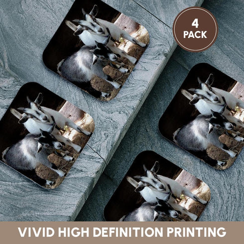 3dRose LLC Pygmy Goat Coaster, Soft, Set of 4