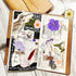 Gvhntk Dried Pressed Flowers Real Pressed Flowers Natural Dry Leaves Bulk Mixed Colorful Herbs Kit with Tweezers