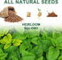 8 Gourmet Herb & Salad Seed Pod Kit, Pod (Include Seed Basil/Mint/Thyme/Romaine/Butter Head/Red&Green Leaf) Lettuce