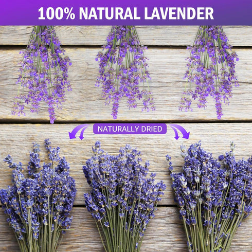 Timoo Dried Lavender Bundles, 100 Natural Flowers for Home Decoration, Photo Props, 2 Bundles Pack
