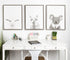 18x24 Kate and Laurel Sylvie Koala Black and White Portrait Framed Canvas Wall Art by Simon Te Tai, Gray