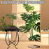 EKINIYAR 1 Pack Plant Stand Indoor Outdoor, Metal Plant Stand for Indoor Plants Iron Art Flower Pot Holder Stand