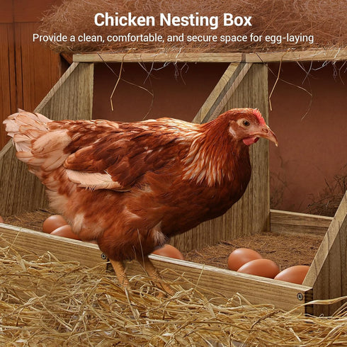 Chewoof 3 Pack Chicken Nesting Box, Wooden Single Compartment Chicken Nesting Box for Outdoor Coop, Comfortable Laying