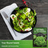 (1 Pack) All the Year Round Lettuce Seeds for Planting Slow-Bolting Butterhead Variety for Cool and Moderate Climates