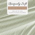 Linen Market Double-Brushed Microfiber Queen Sheet Set - 4 Piece, Oeko-TEX Certified, Puffed Chevron Sage