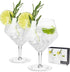Viski Raye Angled Stemmed Gin and Tonic Glasses, Set of 2, Premium Crystal Clear Cocktail Gin Glasses for Gin Lovers