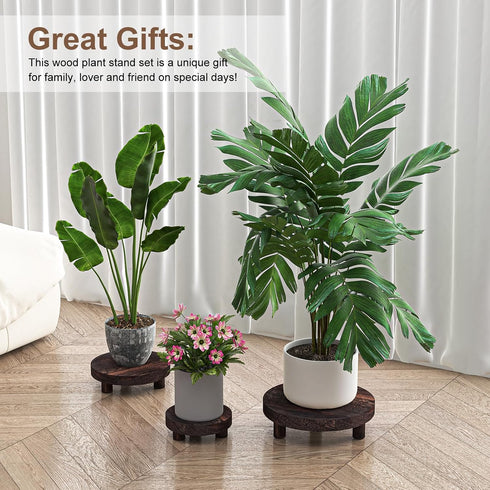 3 6/8/10" Counter Pcs Wood Plant Stand Indoor Outdoor, Round Wood Riser for Decor Wooden Stool Display Stand Flower Pot