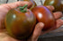 SEEDS4PLANTING Seeds Tomato Black Prince Giant Heirloom Vegetable Non GMO