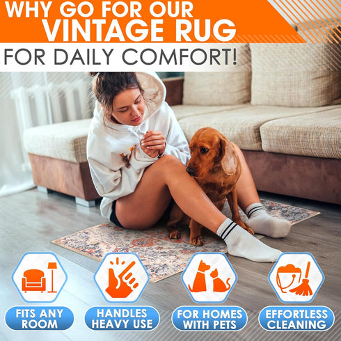 Washable Kitchen Rug, Easy Cleaning Non-Slip Carpet, Vintage Soft Surface, Durable Pet-Friendly Mat, Small 2x3