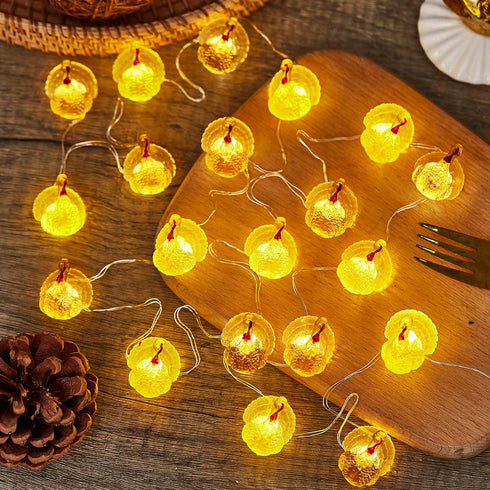 3D 8ft 20 JASHIKA Fall Harvest Turkey String Lights, Cute Decorative Lights Copper Wire LEDs Battery Powered