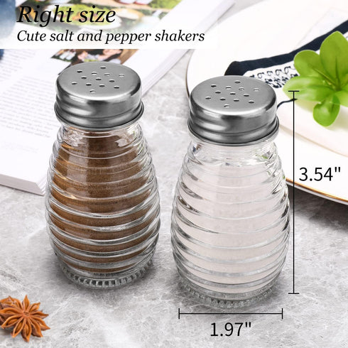 Glass Salt and Pepper Shakers Set, Oval Salt Shaker Set