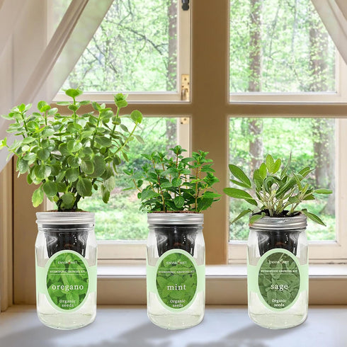 Set, Hydroponic Herb Growing Kit Self-Watering Mason Jar Herb Garden Starter Kit Indoor, Windowsill Herbs Garden. Grow