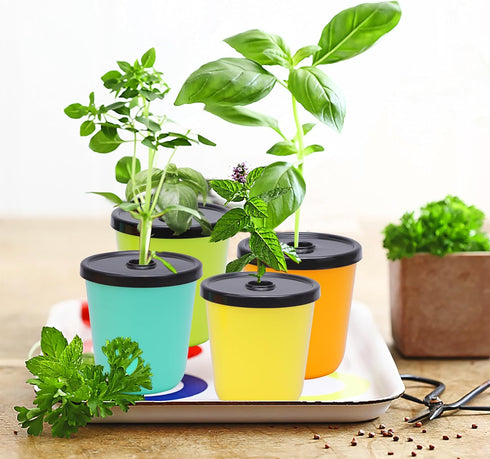 8 24 Kratky Method Hydroponic Planter Kit, Hydroponic Planter Plus Growing Sponges for Herbs, Hydroponic Mini Buckets
