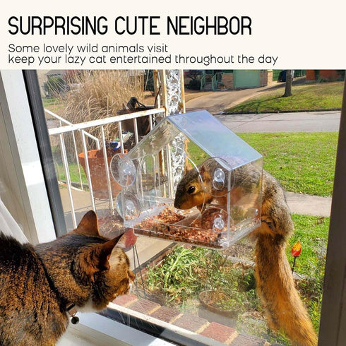 Window Bird Feeder with Strong Suction Cups, Fits Cardinals, Finches, and Chickadees