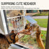 Window Bird Feeder with Strong Suction Cups, Fits Cardinals, Finches, and Chickadees