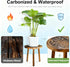 AMVAQKER 3 6-15 Inch PCS Wood Plant Stands Indoor, Three Sizes of Plant Stands Suitable for Pots, Single Plant Holder