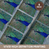 3dRose CST_154797_4 Bright Blue Peacock Ceramic Tile Coasters - Set of 8 with Colorful Plummage