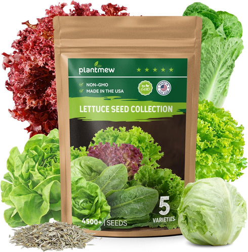 Heirloom Lettuce Seeds - 5 Varieties, Non-GMO Seeds for Planting - Black