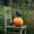 3-Pack Realistic Handmade Black Feathered Crow Prop for Halloween Party Decoration, Indoor and Outdoor Use