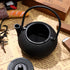 Ipetboom Mini Cast Iron Teapot Tea Set, Miniature Japanese Tea Kettle with Infuser, Kettle Ornaments, Small Teapot