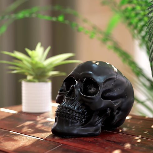 READAEER Resin Skull, Human Head Model for Home Decoration, Halloween Statue, Skull Model for Bookshelf and Desktop