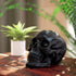 READAEER Resin Skull, Human Head Model for Home Decoration, Halloween Statue, Skull Model for Bookshelf and Desktop