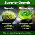 118,200 16oz Pack HOME GROWN Premium Sprouting Seeds Mix - Microgreens Seeds for Indoor Growing - Non-GMO Broccoli