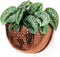 Allegorie Metal Wall Planter | Indoor or Outdoor Hanging Plant Pot |