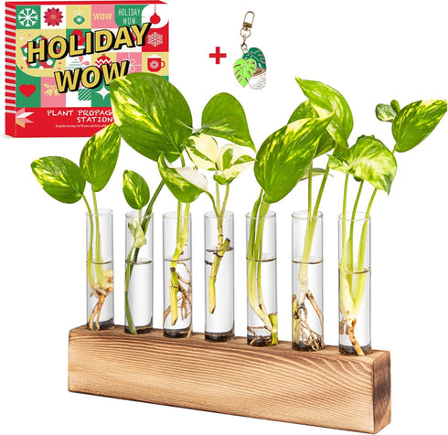 KAXYEW Plant Terrarium with Wooden Stand, Plant Propagation Tubes, 7 Test Tubes