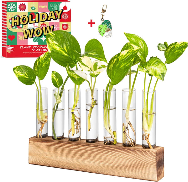 KAXYEW Plant Terrarium with Wooden Stand, Plant Propagation Tubes, 7 Test Tubes