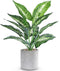 16" Small Fake Plants - Artificial Tropical Faux Plants for Indoor Desk Decor, Sage Green