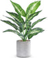 16" Small Fake Plants - Artificial Tropical Faux Plants for Indoor Desk Decor, Sage Green