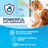 NonScents Refrigerator Deodorizer - Long-Lasting Odor Eliminator for Fridge & Freezer, Unscented