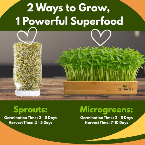 (8 Oz.) Mung Bean Sprouting Seeds - NON GMO- Resealable Bag for Longer Freshness Rich in Vitamins, Minerals, Fiber