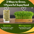 (8 Oz.) Mung Bean Sprouting Seeds - NON GMO- Resealable Bag for Longer Freshness Rich in Vitamins, Minerals, Fiber