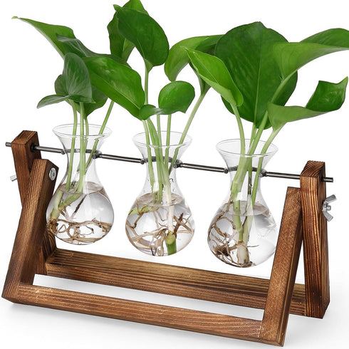 YIBOT Propagation Stations,Plant Terrarium with Retro Wooden Stand, Unique Gardening Birthday Gifts