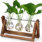 YIBOT Propagation Stations,Plant Terrarium with Retro Wooden Stand, Unique Gardening Birthday Gifts