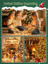 Set 2 Pack 50 Count 13 Bulb Hopolon Clear Christmas Lights Feet Incandescent Green Wire Mini String Lights for Indoor