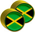 Jamaican Flag Birthday Party Supplies Set, Plates, Napkins, Cups for 16, Tableware Kit