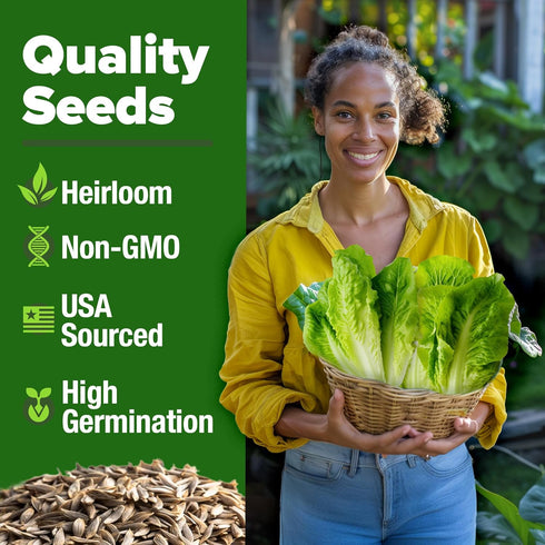 Pack, 7000+ HOME GROWN Romaine Lettuce Seeds, Paris Island Bulk Lettuce Seeds for Planting, High Germination Heirloom