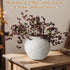 Thiccywoov 3 (16 Inch) Pcs Plum Faux Berry Stems Artificial Dusty Sedum Berry Stems Picks Branches Faux Spray for DIY
