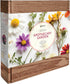 9 BUZZY Seeds Apothecary Garden Wellness Kit with Varieties of Non-GMO Flower and Herb Seeds, Terracotta Pots, Growing