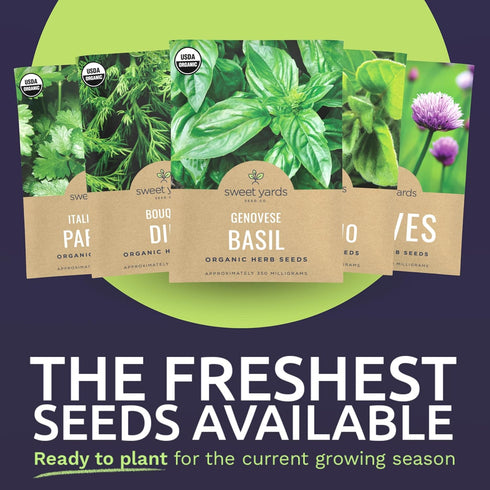 Pack 10 Packs 2026 Organic Herb Seeds Variety - Individual - Season - Basil, Cilantro, Dill, Thyme, Parsley and More!