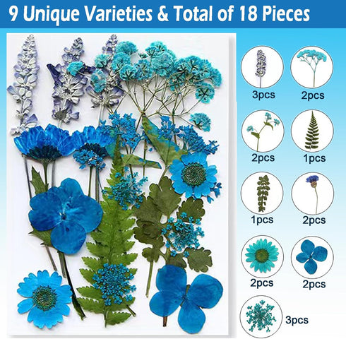 Flowers for Resin Model, Real Pressed Flowers Dry Leaves Bulk Natural Herbs Kit for Scrapbooking DIY Art