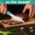 HAUSHOF Steak Knives Set of 4, Premium Stainless Steel Serrated Knife Set with Gift Box, Assorted Color