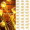 ZSJWL 30 Pack Fairy Lights Battery Operated Warm White,7Ft 20LED Mini String