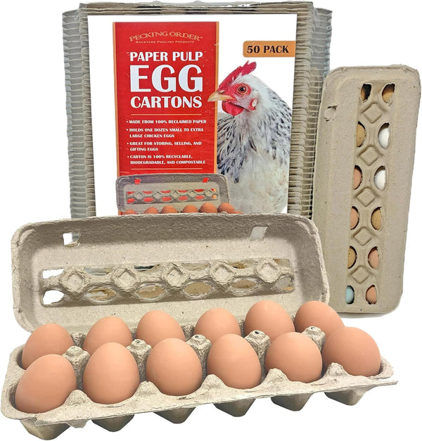 Paper Pulp Egg Cartons - 50 Pack