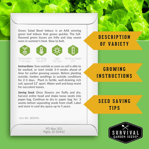 Hydroponics Vegetable Seed Collection for Planting - Watercress, Spinach, Siberian Kale, Swiss Chard, Buttercrunch