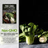 2 Packs Survival Garden Seeds - Canton White Stem Pak Choi or Bok Choy Seed for Planting - with Instructions to Grow