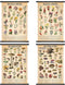 Lewtemi 4 Pcs Vintage Mushroom Wildflowers Poster Fungus Butterfly Tree Wall Hanging